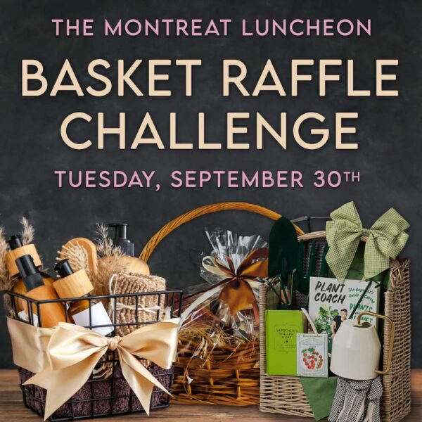 Basket Raffle Challenge - Ministry of Hope WNC